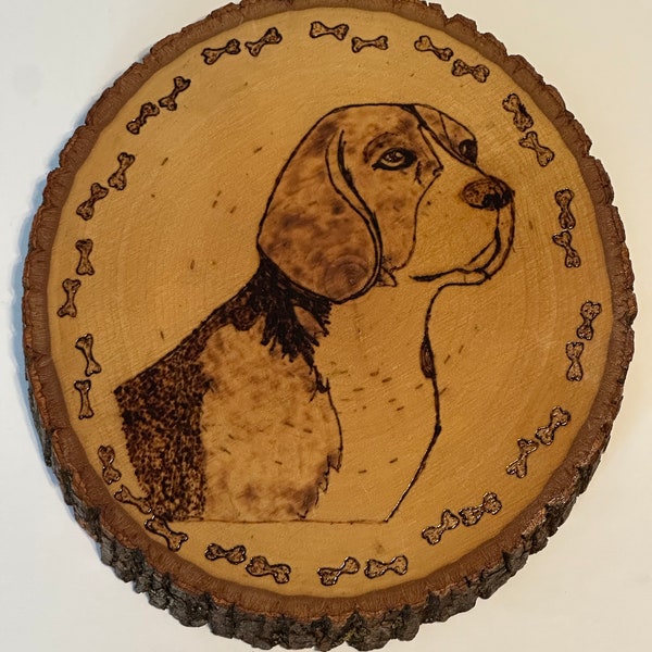 Beagle Face hand made, wood burnt picture on oak Beagle Face hand made, wood burnt picture on oak