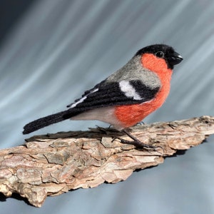 Bullfinch Felting wool birds hand made souvenirs nature ornithology birdwatching gift.