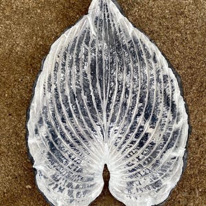 May include: A decorative leaf-shaped object with a textured surface. The leaf is primarily white with dark gray veining and edges. The object is resting on a brown, sandy surface.