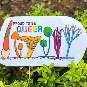 Pride Mushroom Vinyl Sticker | LGBTQIA | Water resistant | Laminated