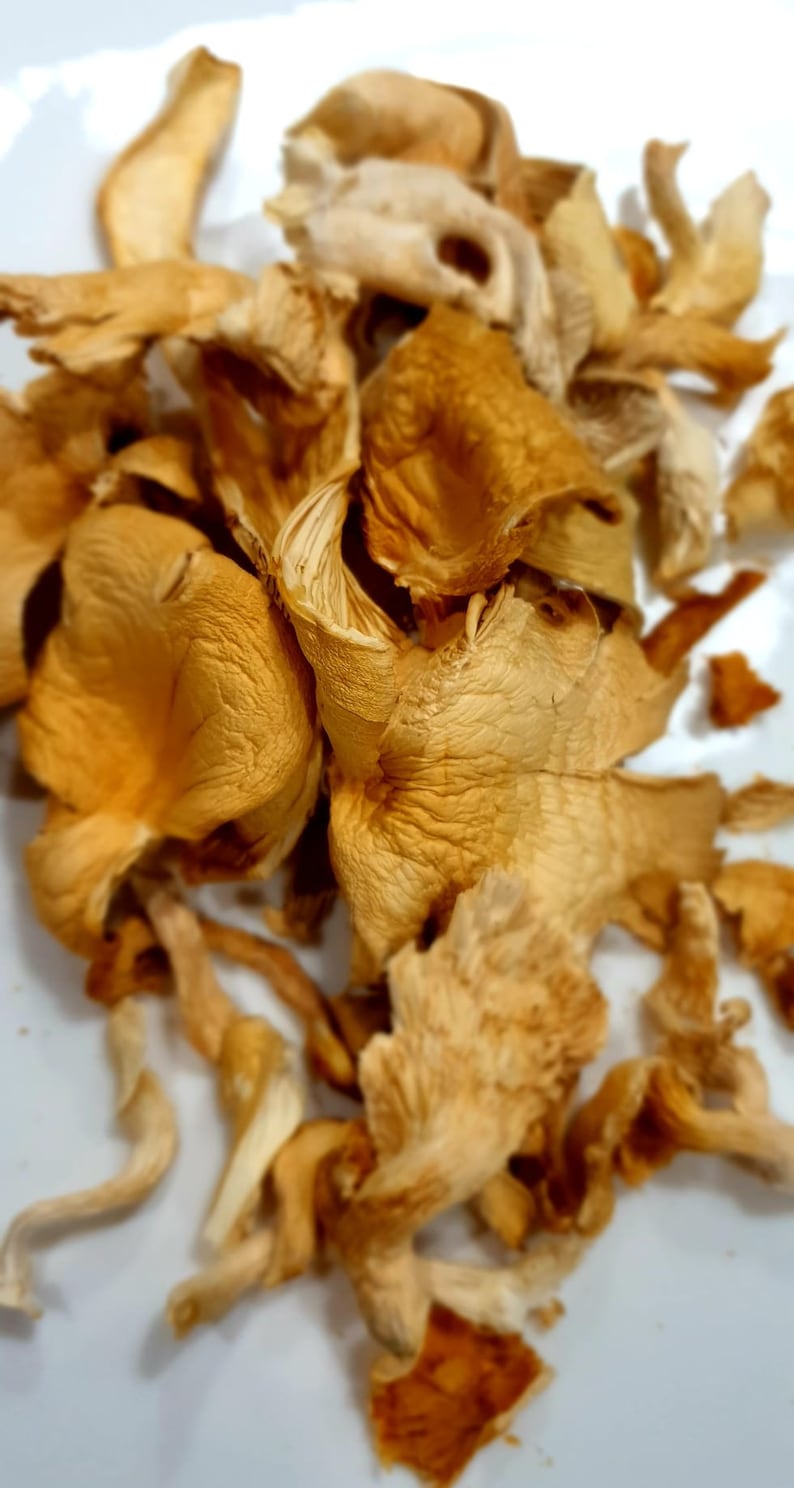 Dried Oyster Mushrooms 3 Packs Etsy UK