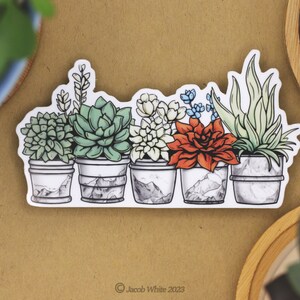 May include: A sticker featuring a row of seven potted succulents with different colors and textures. The pots are white with a marble pattern and have a mountain range design on the side. The sticker is on a brown background.
