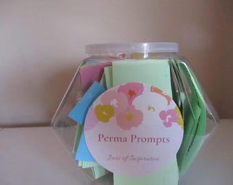 Perma Prompts