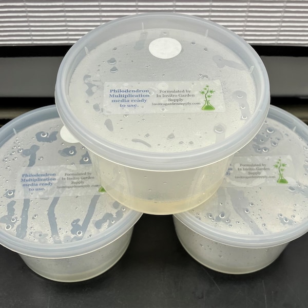 Philodendron, Hoya, Anthurium Multiplication Tissue Culture Media - Ready To Use