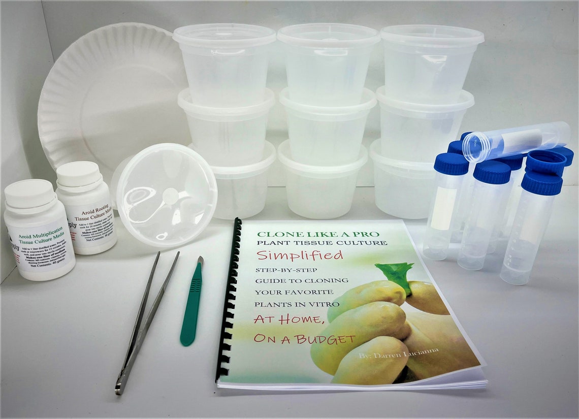 Starter Kit Plant Tissue Culture Cloning for Philodendron Etsy