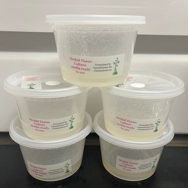 Terrestrial Orchid Cloning or Seed Sowing Tissue Culture Media in Vented Containers for Air Exchange - Ready To Use