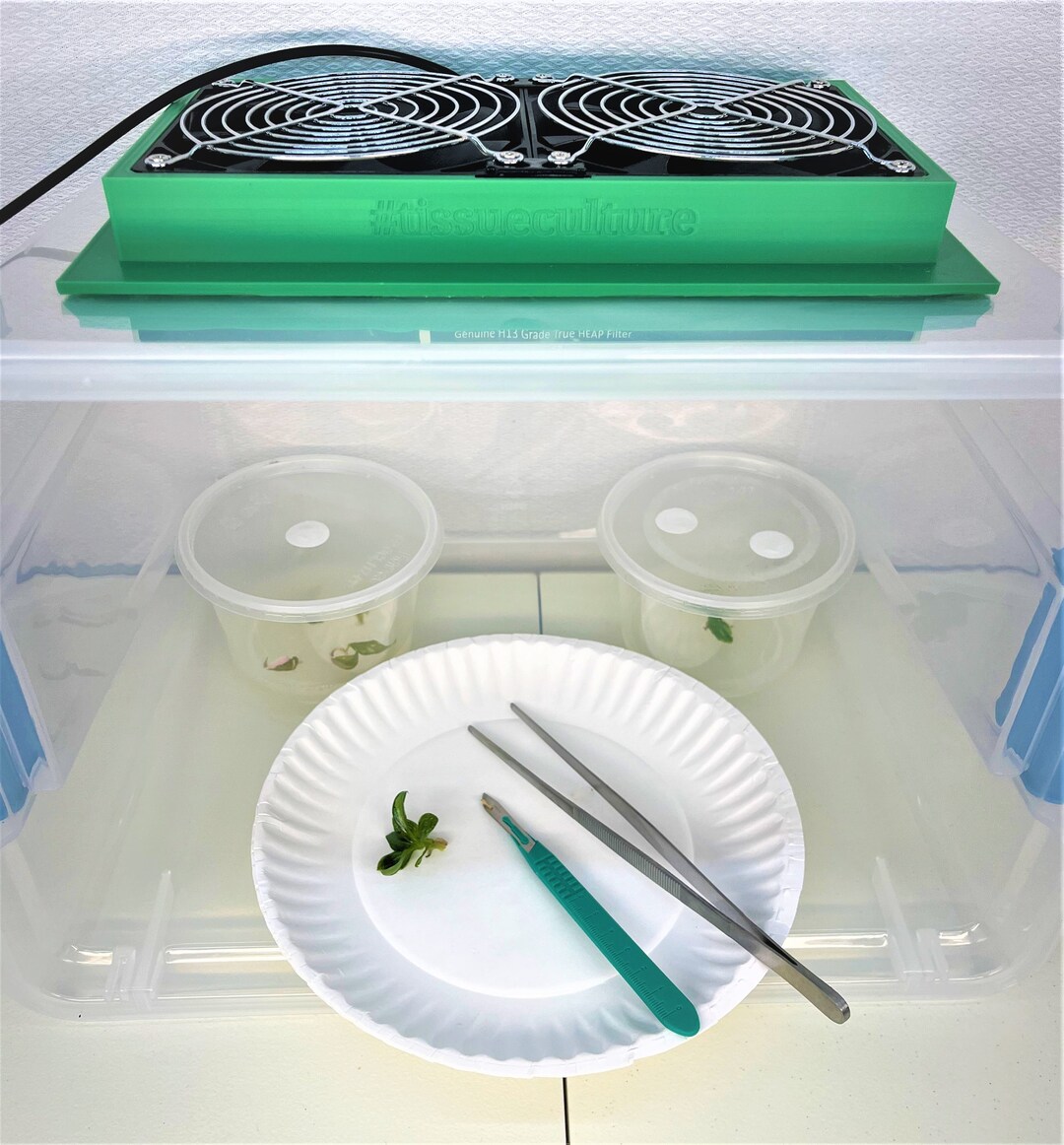 Clean Air Box DIY Laminar Flow Hood Mycology Tissue Etsy