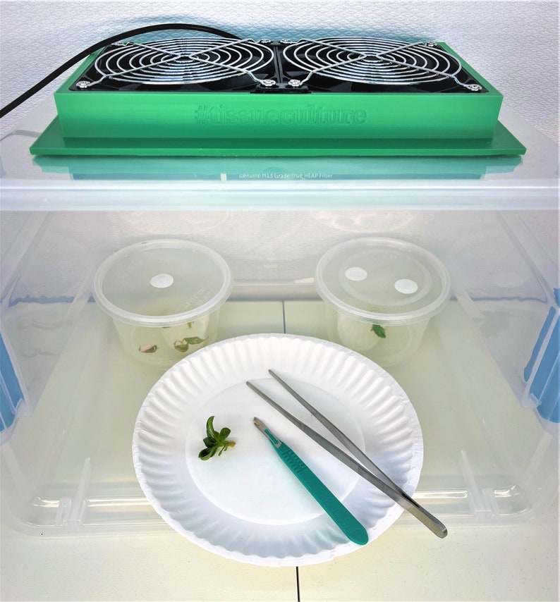 Clean Air Box DIY Laminar Flow Hood Mycology Tissue Etsy