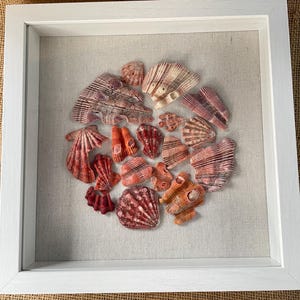 May include: A collection of various seashells in shades of red, orange, and cream, arranged in a circular pattern within a white framed shadow box. The shells are set against a neutral linen background, creating a coastal theme.