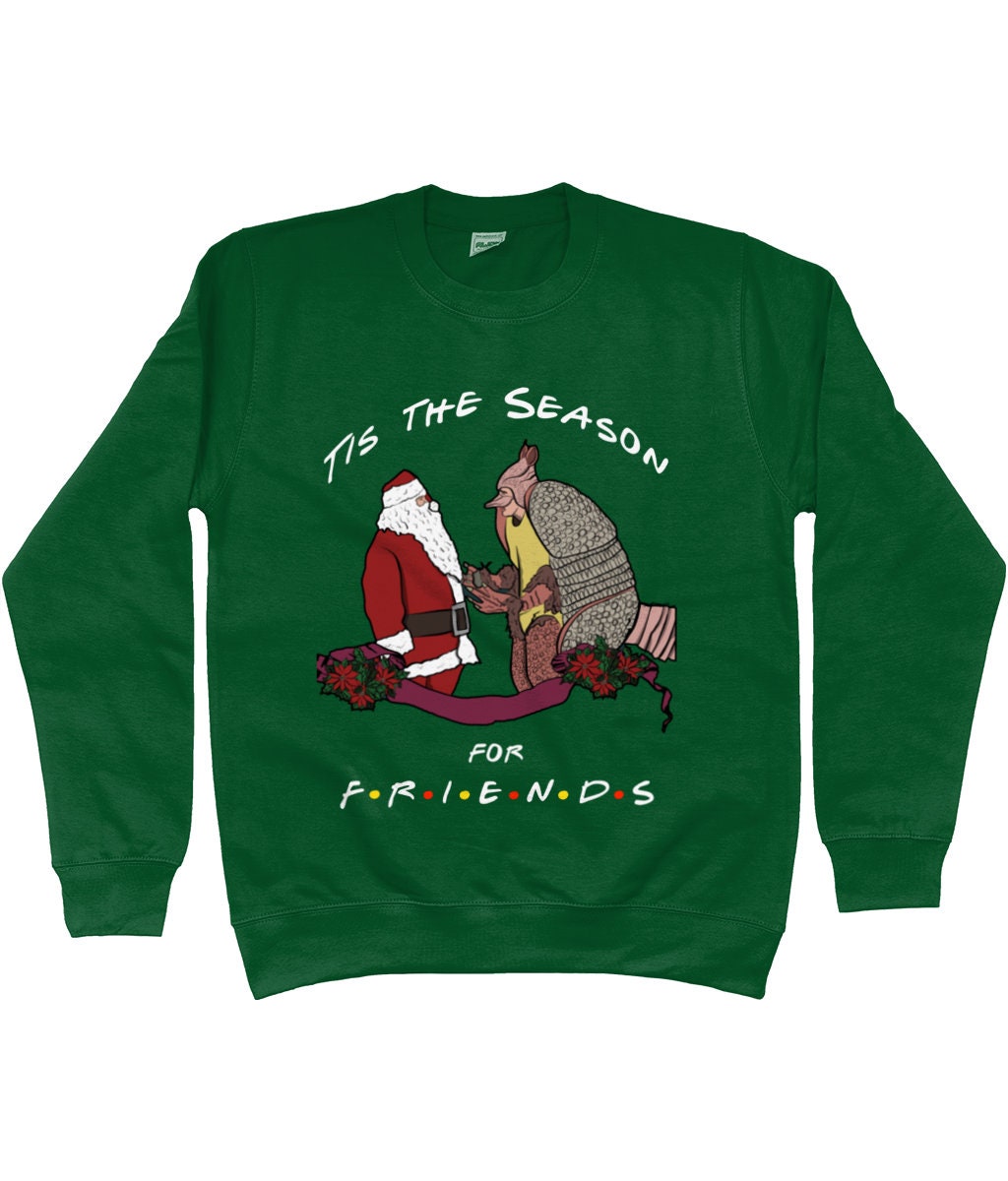 holiday armadillo christmas jumper