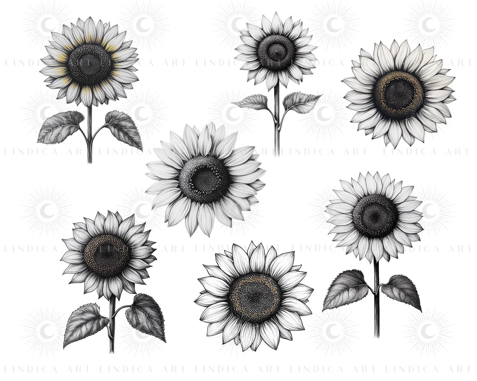 Procreate Sunflower Stamp Brushes BUNDLE, Floral Tattoo Designs, July ...