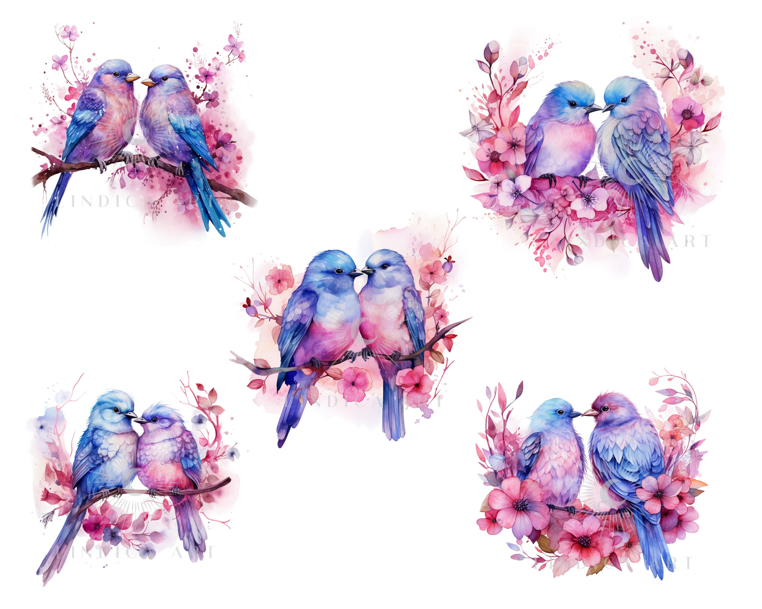 Clipart Love Birds Pink Valentine 25 PNG Files Pastel - Etsy