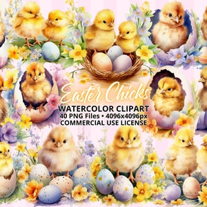 Aquarelle Easter Chick ClipArt BUNDLE 40 PNG Files, Poulets mignons avec des fleurs et des œufs de Pâques peints, Spring Clipart, Sublimation Designs