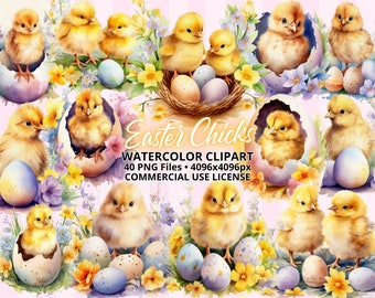Watercolor Easter Chick ClipArt BUNDLE 40 PNG Files, Cute Chickens with Flowers & Painted Easter Eggs, Spring Clipart, Sublimation Designs