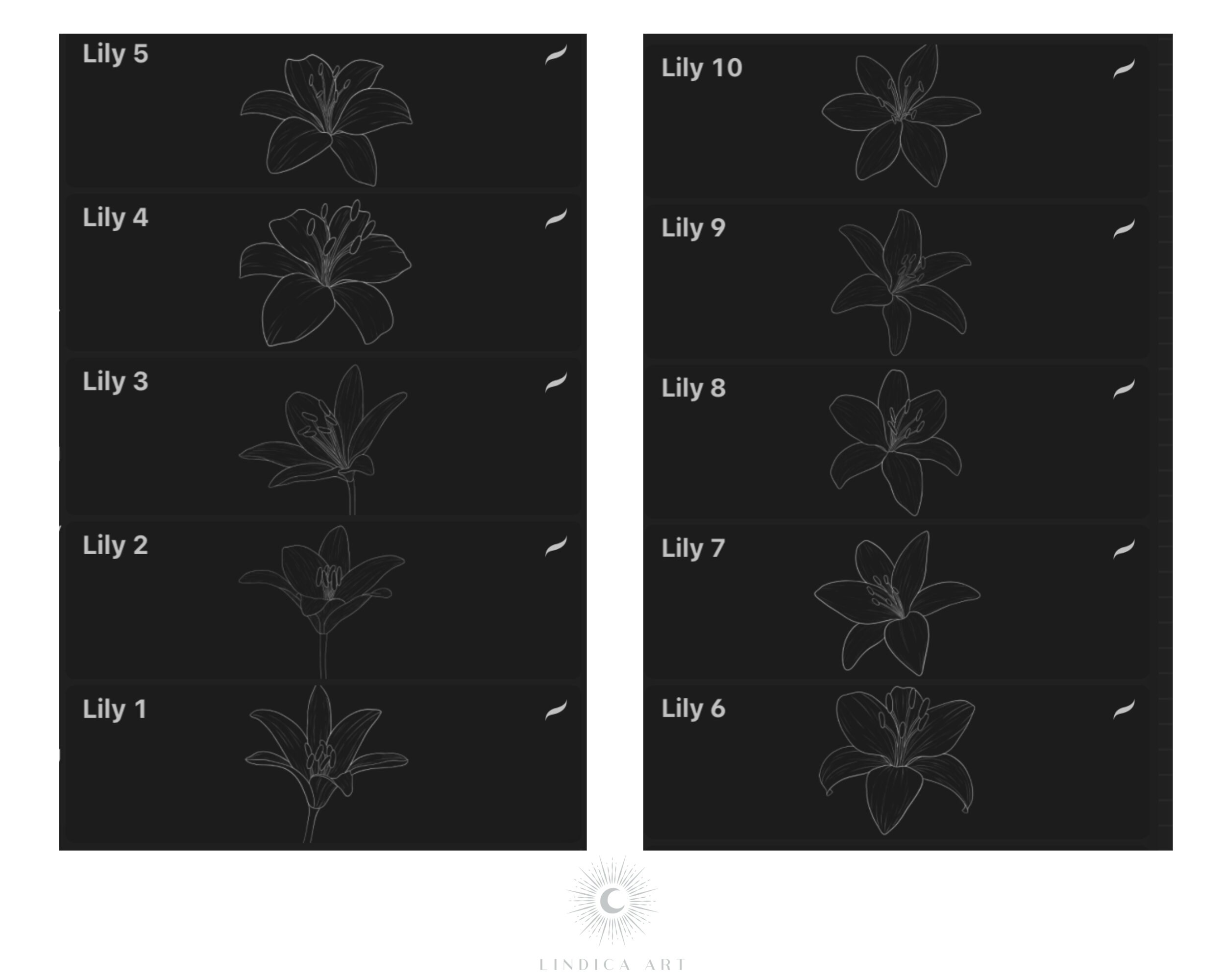 Procreate Lily Flowers Stamp Brushes Bundle, 10 Fine Line Art Lilies ...