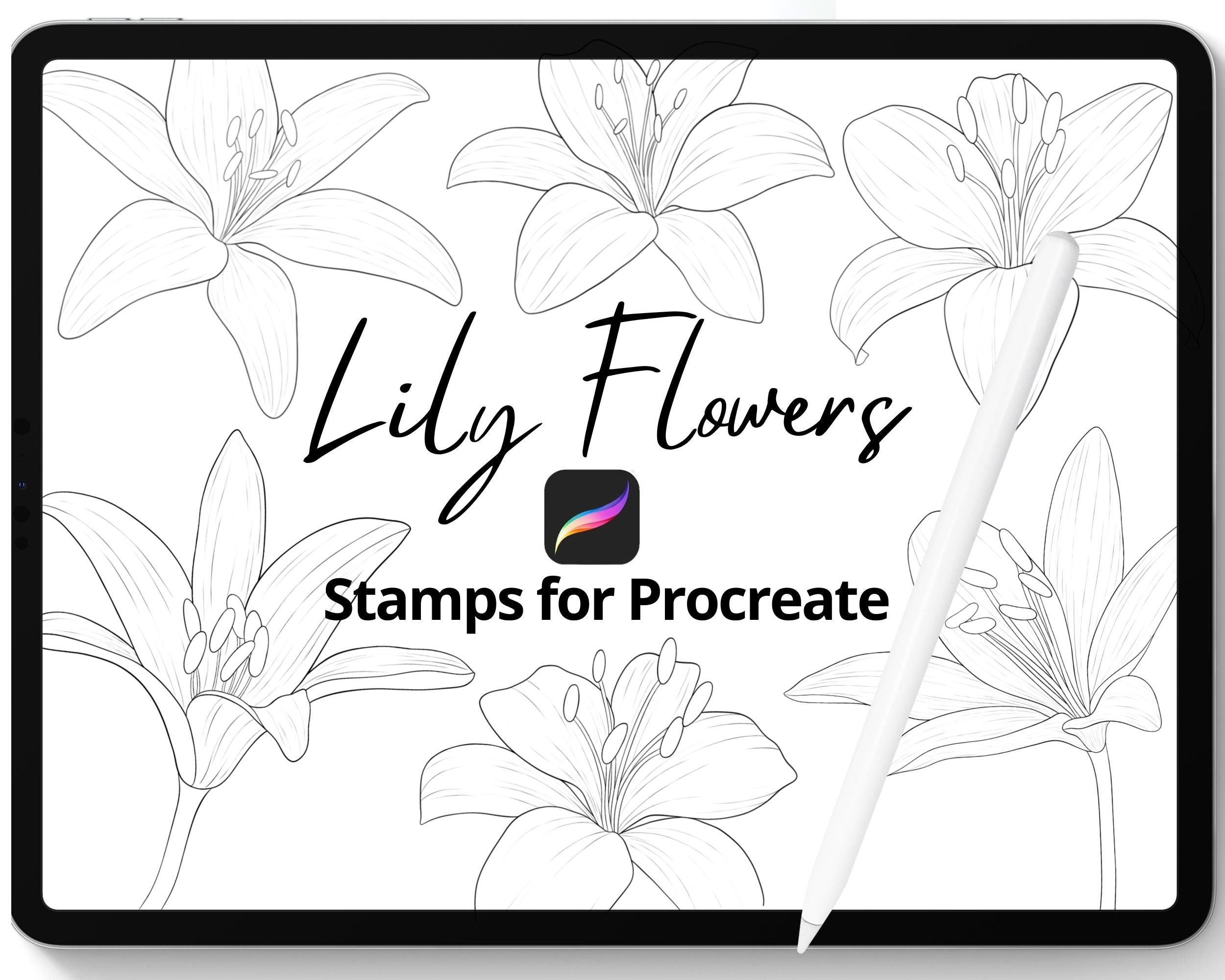 Procreate Lily Flowers Stamp Brushes Bundle, 10 Fine Line Art Lilies ...