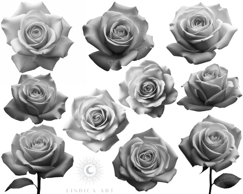 Procreate Stamp Brushes Realistic Rose Flowers, Tattoo Stencil Designs ...