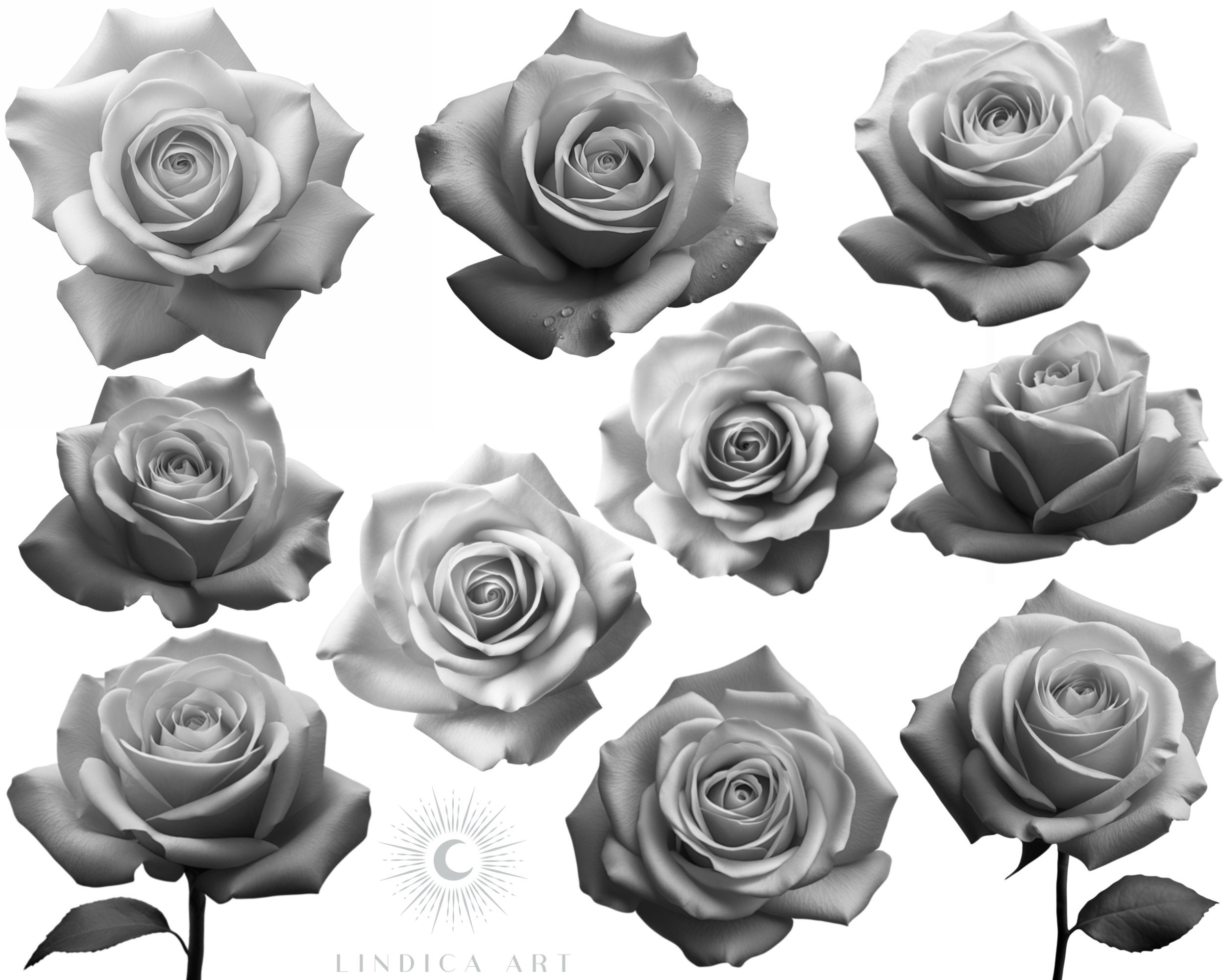 Procreate Stamp Brushes Realistic Rose Flowers, Tattoo Stencil Designs ...