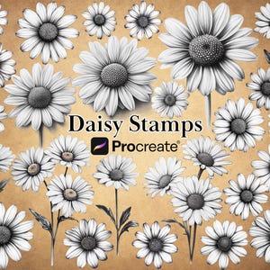 Procreate Daisy Stamp Bushes BUNDLE, Realistic Daisies, Floral Tattoo Design, April Birth Month Flower, Botanical Stamps, Flowers references