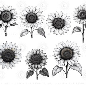 Procreate Sunflower Stamp Brushes BUNDLE, Floral Tattoo Designs, July ...