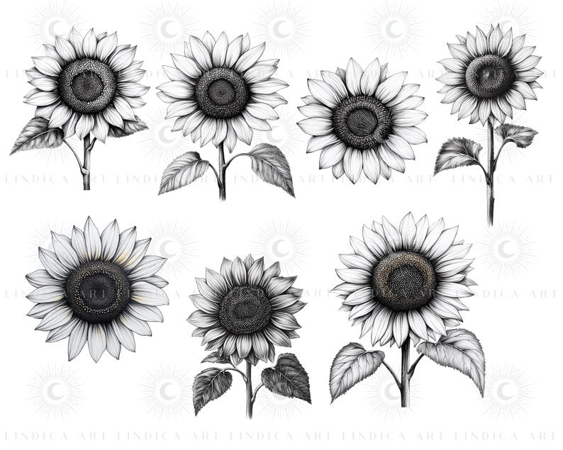 Procreate Sunflower Stamp Brushes BUNDLE, Floral Tattoo Designs, July ...