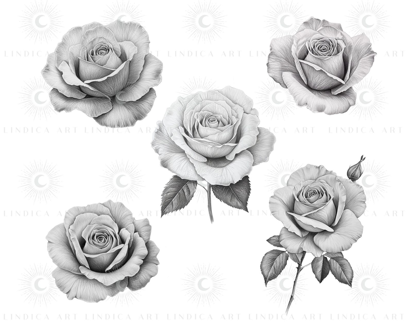 Procreate Rose Stamp Bushes BUNDLE, Realistic Roses, Floral Tattoo ...