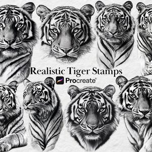 Procreate Tiger Stamps, Realistic Tigers, Realism Tiger Tattoo Designs, Procreate Wildlife Animals, Instant Digital Download Stamp Brushes