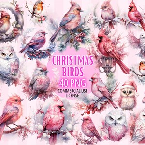 ClipArt oiseaux de Noël roses, Cardinal, Harfang des neiges 40 PNG, Aquarelle pastel, Design par sublimation, téléchargement numérique, Bundle USAGE COMMERCIAL