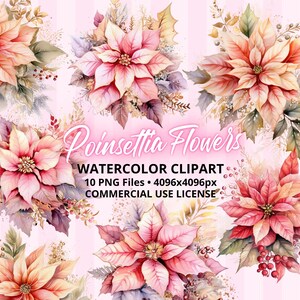 ClipArt Pink Christmas Poinsettia Flowers, 10 file PNG, Arte acquerello pastello, Design a sublimazione, Download digitale, Pacchetto USO COMMERCIALE