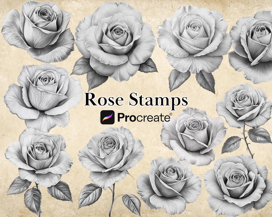Procreate Rose Stamp Bushes BUNDLE, Realistic Roses, Floral Tattoo ...