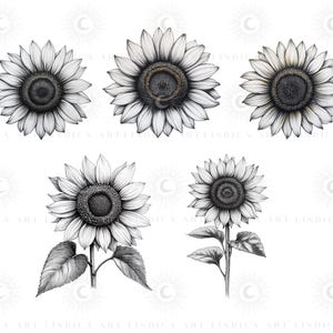 Procreate Sunflower Stamp Brushes BUNDLE, Floral Tattoo Designs, July ...