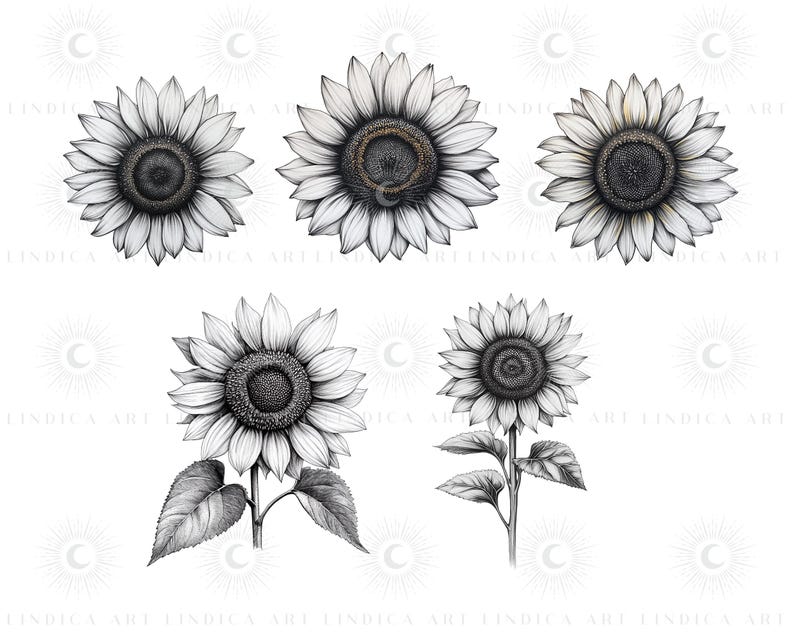 Procreate Sunflower Stamp Brushes BUNDLE, Floral Tattoo Designs, July ...