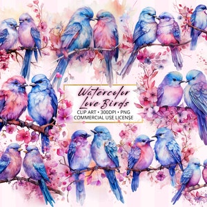 ClipArt Love Birds Pink Valentine, 25 archivos PNG, Arte de acuarela pastel, Diseños de sublimación, Descarga digital instantánea, Paquete USO COMERCIAL
