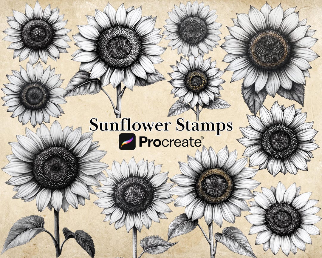 Procreate Sunflower Stamp Brushes BUNDLE, Floral Tattoo Designs, July ...
