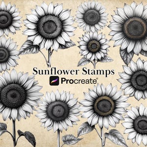 Procreate Sunflower Stamp Brushes BUNDLE, Floral Tattoo Designs, July Birth Month Flower, Botanical Stamps, Digital Brush Set, iPad Drawing