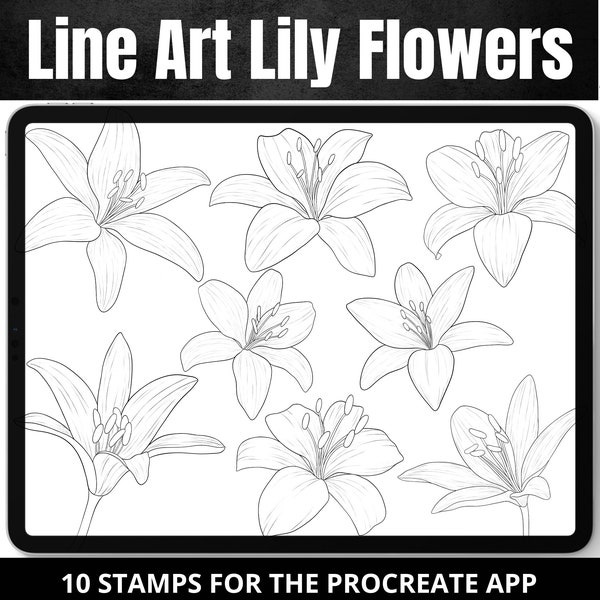 Procreate Lily Flower Stamp Brushes, 10 Line Art Lilies, Feminine Tattoo design, Floral stamps, Instant Digital Download, for Procreate App