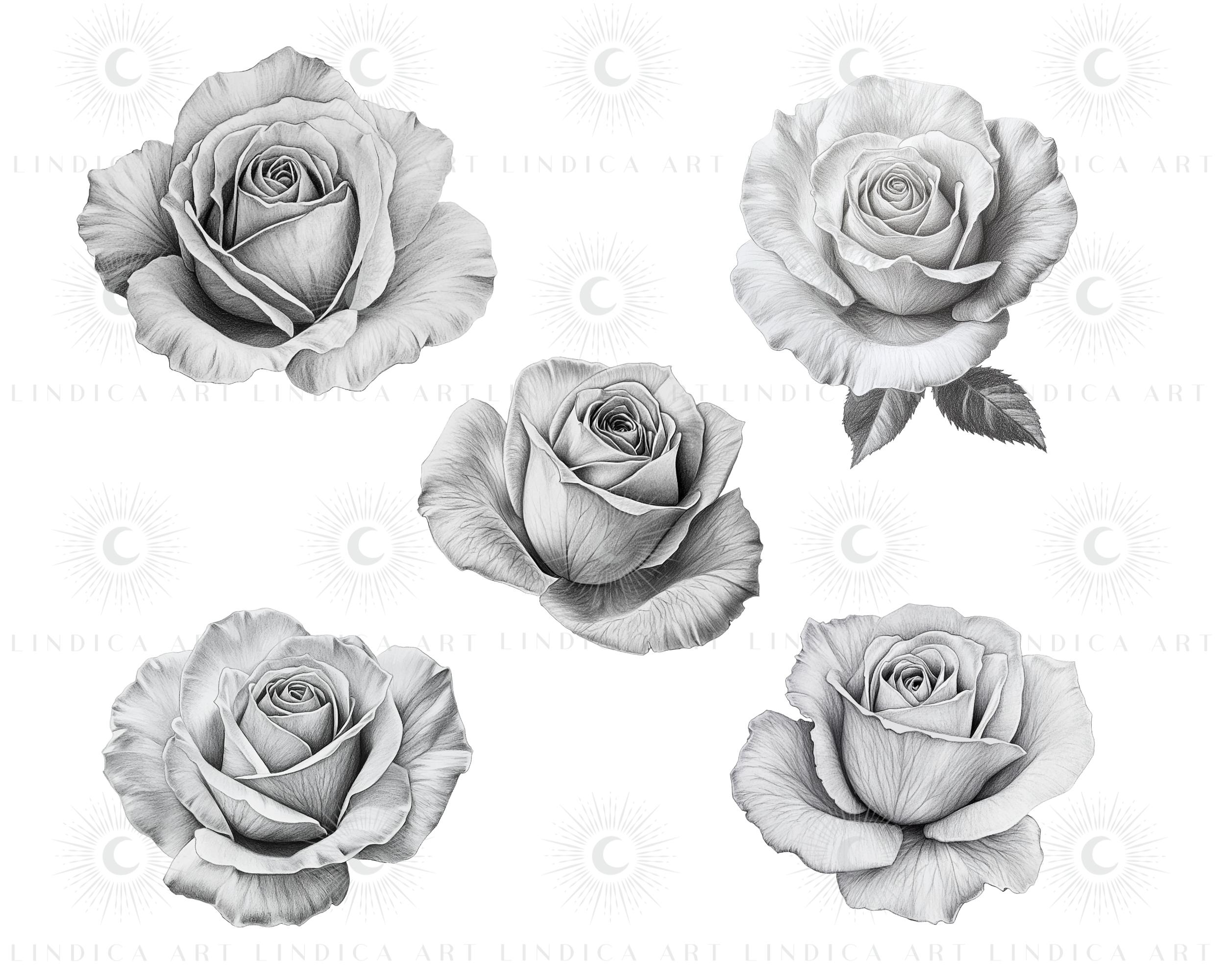 Procreate Rose Stamp Bushes BUNDLE, Realistic Roses, Floral Tattoo ...
