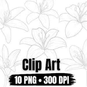 Clip Art Flores de lírio em estilo de arte de linha, 10 arquivos PNG fundo transparente