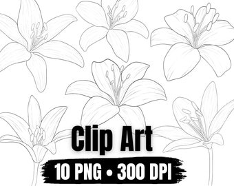 Clip Art Lily flowers in line art style, 10 PNG files transparent background
