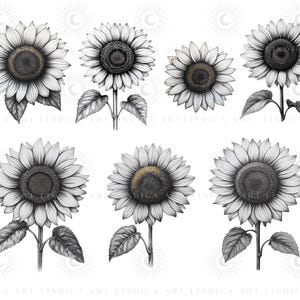 Procreate Sunflower Stamp Brushes BUNDLE, Floral Tattoo Designs, July ...