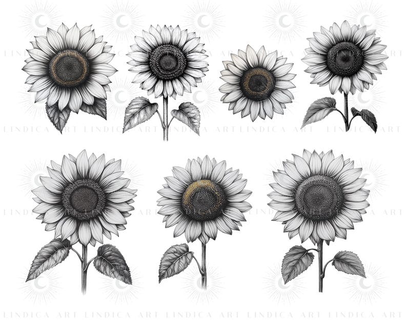 Procreate Sunflower Stamp Brushes BUNDLE, Floral Tattoo Designs, July ...
