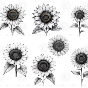 Procreate Sunflower Stamp Brushes BUNDLE, Floral Tattoo Designs, July ...