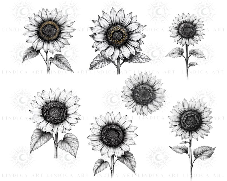 Procreate Sunflower Stamp Brushes BUNDLE, Floral Tattoo Designs, July ...