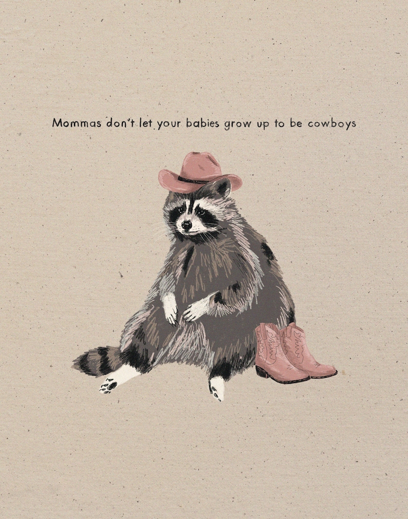raccoon mr