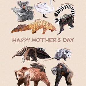 Tarjeta del Día de la Madre 5x7 (en blanco por dentro)