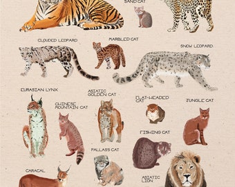 Cats of Asia 11x14