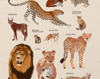 Cats Of Africa 11x14