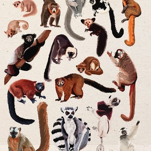 Puede incluir: Una colección de 17 lémures ilustrados en varias poses. Los lémures se representan en una variedad de colores, incluyendo marrón, negro, blanco, rojo y gris. Algunos lémures se agarran a las ramas, mientras que otros están sentados o de pie. Los lémures están todos dibujados en un estilo realista.