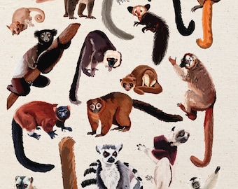 May include: A collection of 17 illustrated lemurs in various poses. The lemurs are depicted in a variety of colors, including brown, black, white, red, and gray. Some lemurs are holding onto branches, while others are sitting or standing. The lemurs are all drawn in a realistic style.