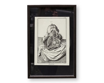 VINTAGE Rare FRENCH Anatomy Print - Diderot Encyclopedia Benard Eecit Medical Art - Framed in Modern Glass Shadowbox Oddity Gothic